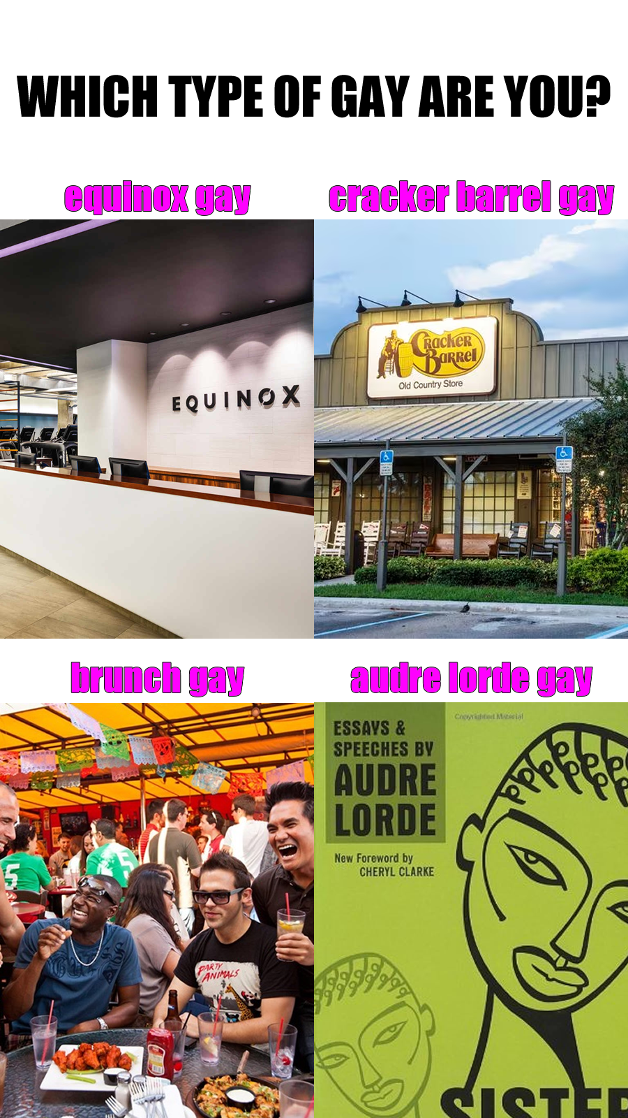 Okay, let's break down this image, applying the requested theoretical lenses where applicable. It's important to note this image is highly subjective and relies on cultural associations and stereotypes presented as "t...