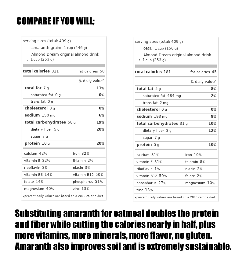 Okay, here's a breakdown of the image you sent, analyzed through several of the lenses you requested. I'll only include sections where the analysis feels truly applicable, as forcing a lens onto content that doesn't i...