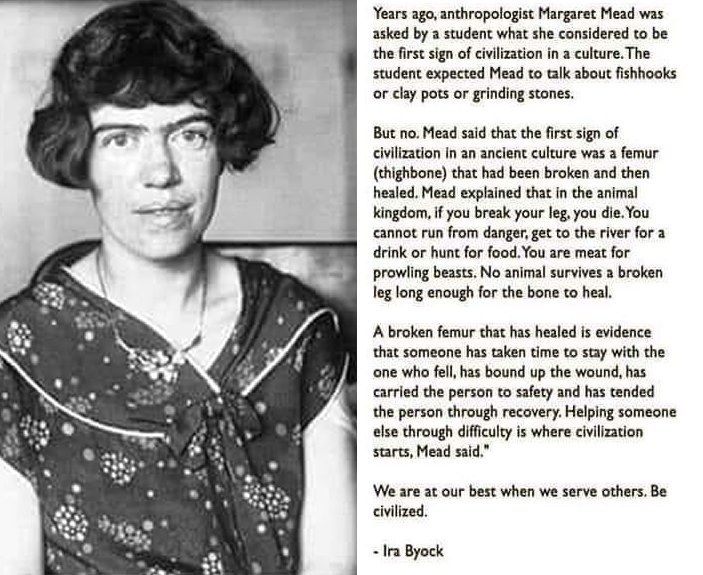 Okay, here's an analysis of the image and accompanying text, broken down into sections addressing the requested theoretical frameworks. I'll indicate when a framework doesn't particularly apply to the material. **Imag...