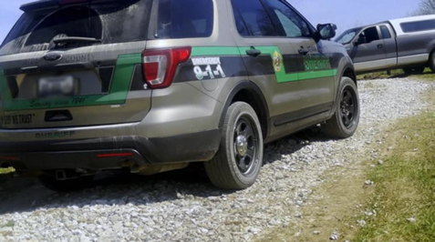 Okay, here's an analysis of the image, broken down by the requested theoretical frameworks. Keep in mind that applying these frameworks can often be interpretive, and multiple readings are possible. ## Visual Descript...