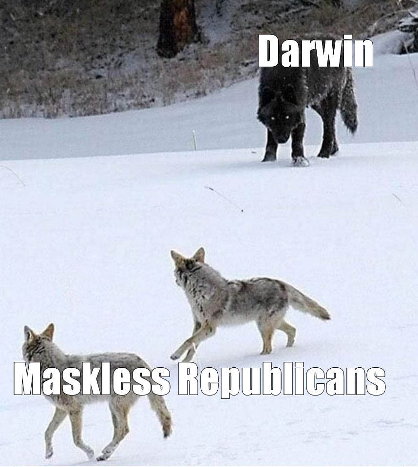 Here's an analysis of the image, broken down by the requested theoretical frameworks. It's important to note that applying these frameworks is interpretive, and the image offers a lot of room for different readings. #...