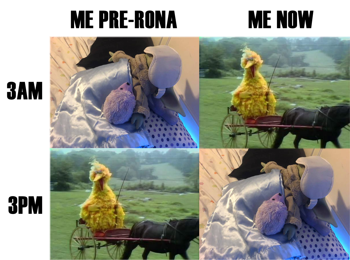 Okay, let's break down this meme grid with the requested theoretical lenses. It's a wonderfully bizarre and ripe image for such analysis! ## Visual Description The meme presents a 2x2 grid comparing "Me Pre-rona" to "...