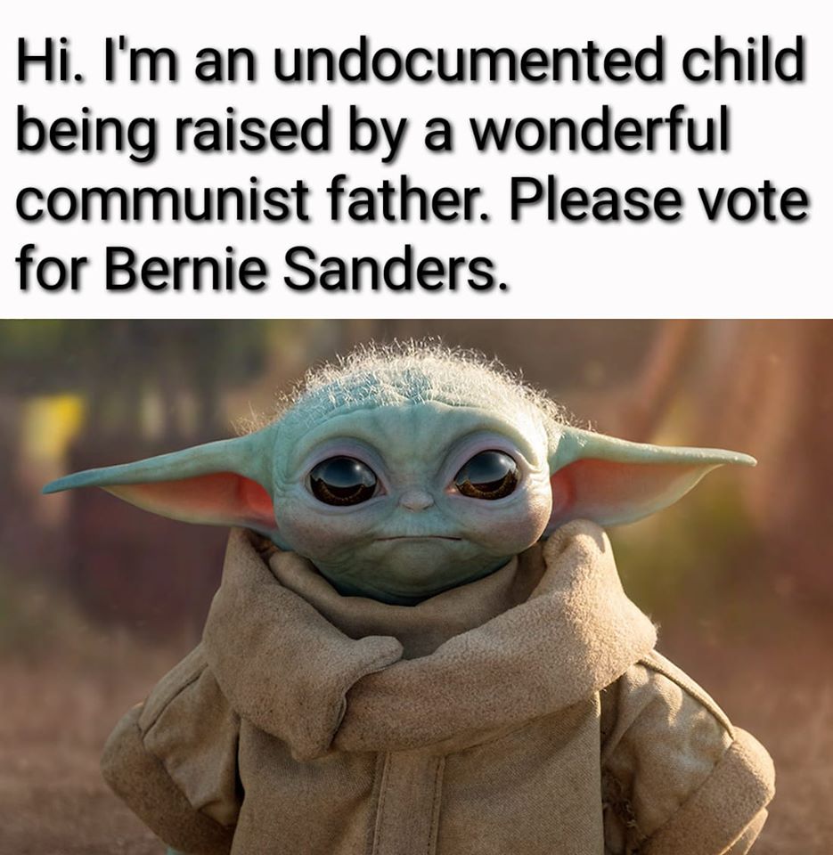 Okay, let's break down this image/meme through the lenses you've provided. It's a layered piece, playing on cuteness, political messaging, and complex socio-political themes. **Visual Description** The image features...