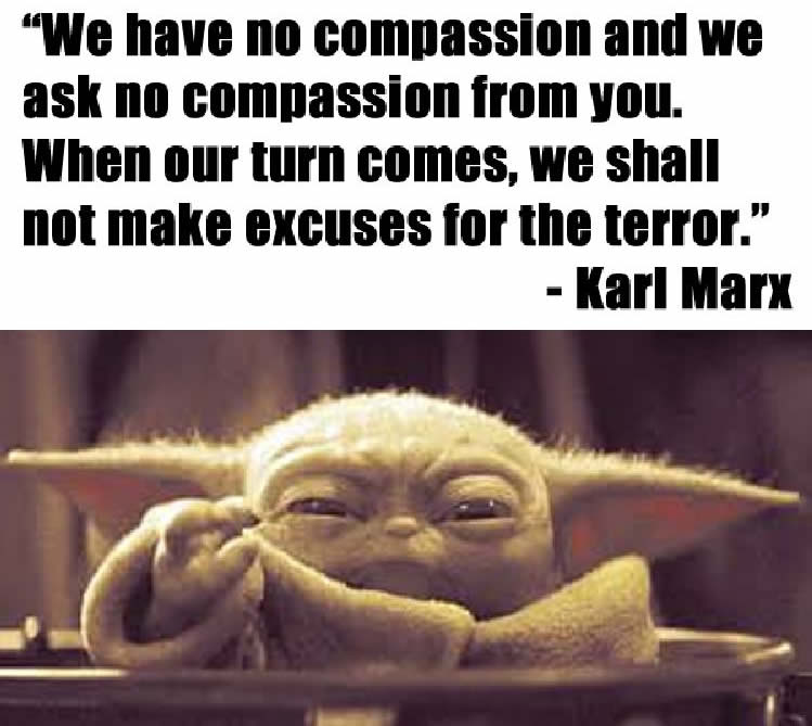 Okay, let's break down this image and the quoted text through the lenses of various theoretical frameworks. **Visual Description** The image features a close-up of "Baby Yoda" (Grogu) from *The Mandalorian*. He is fra...