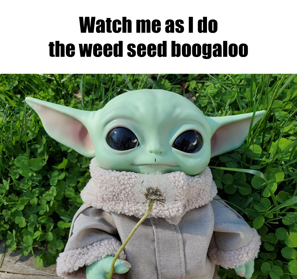 Okay, let's break down this image with a variety of theoretical lenses. ## Visual Description The image features “Grogu” (Baby Yoda) from *The Mandalorian* series, posed outdoors amidst dense green foliage. Grogu is h...