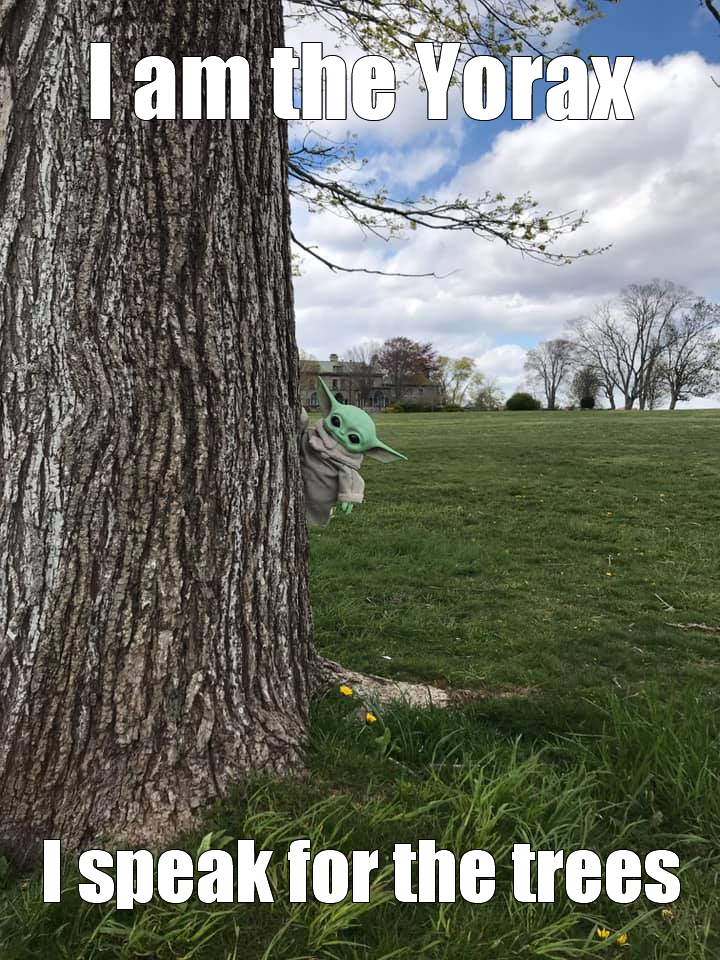 Okay, let's break down this image with the requested theoretical frameworks. It's a meme, so the interpretations can get quite layered! **Visual Description** The image depicts a close-up of a tree trunk in the foregr...