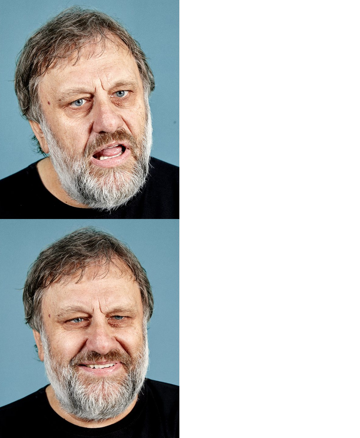 Here's an analysis of the image, broken down into the requested sections. It's important to note that applying some of these theories is a matter of interpretation and extrapolation, and can be subjective. **Visual De...