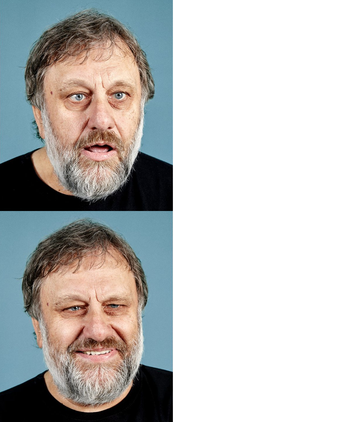 Here's an analysis of the images, broken down into sections as requested. Note that some sections won’t be relevant (or will be limited) given the limited scope of the image. **Visual Description** The image is a dipt...