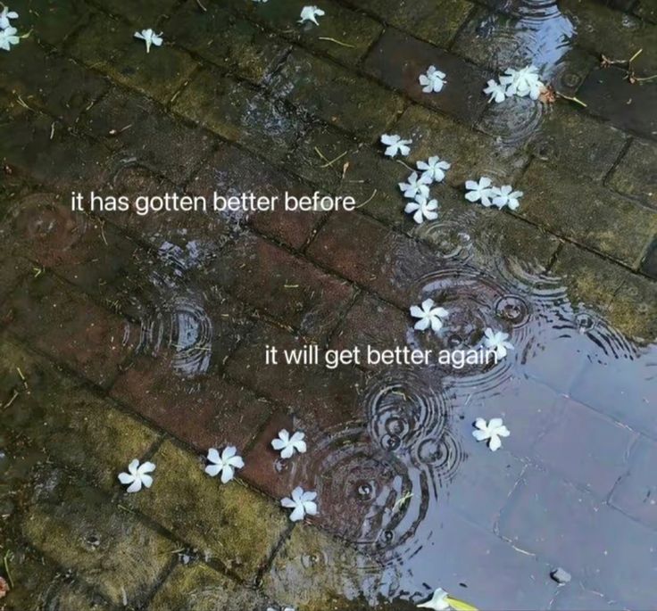 Okay, here's an analysis of the image, broken down into sections based on the theoretical frameworks you requested. I'll indicate where a section doesn't strongly apply. I’ll also be mindful of the image *and* the tex...