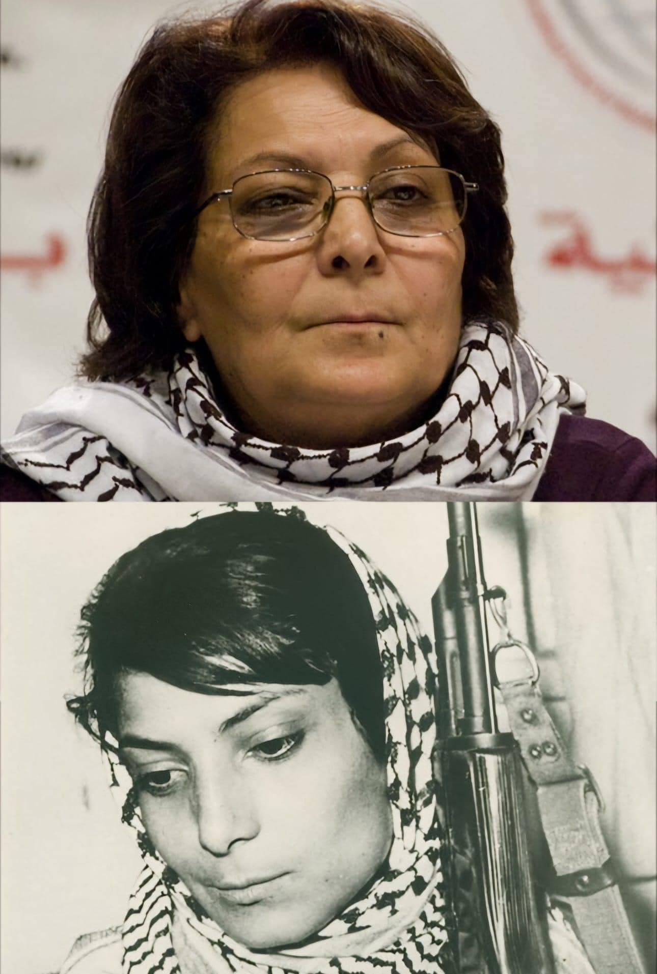 Okay, here's an analysis of the image pair, broken down into the sections you requested. Given the content and context, some sections are more relevant and extensively developed than others. **Please note:** This anal...