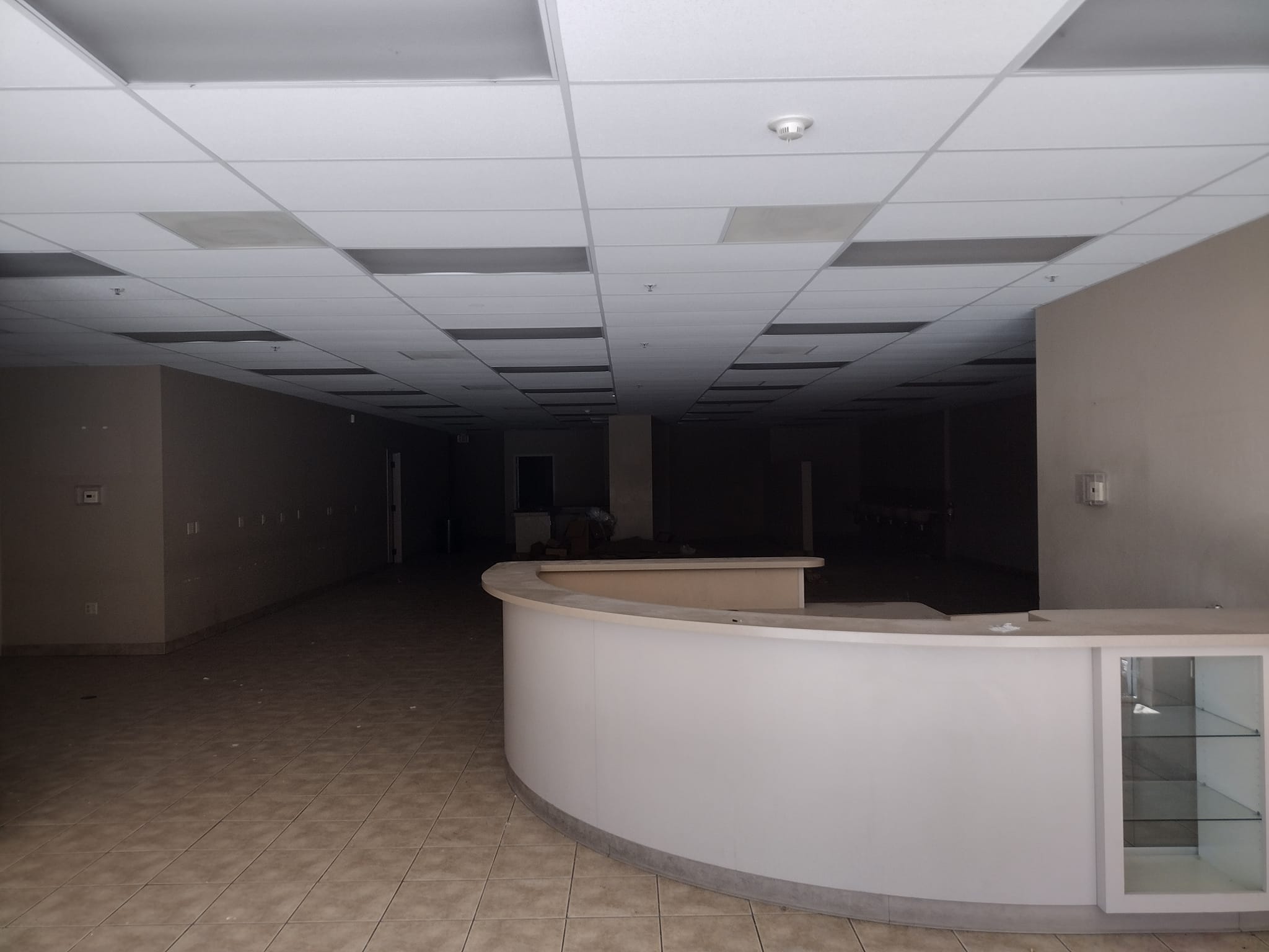 Okay, here's an analysis of the image, broken down into sections addressing the requested theoretical frameworks. It's important to note that applying all these frameworks to *one* image is somewhat forced, as each fo...