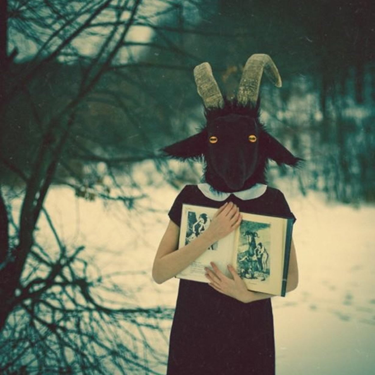 Okay, here's an analysis of the image, broken down into sections as requested. I'll only include sections where the image lends itself to that particular analytical lens. **Visual Description** The photograph depicts...