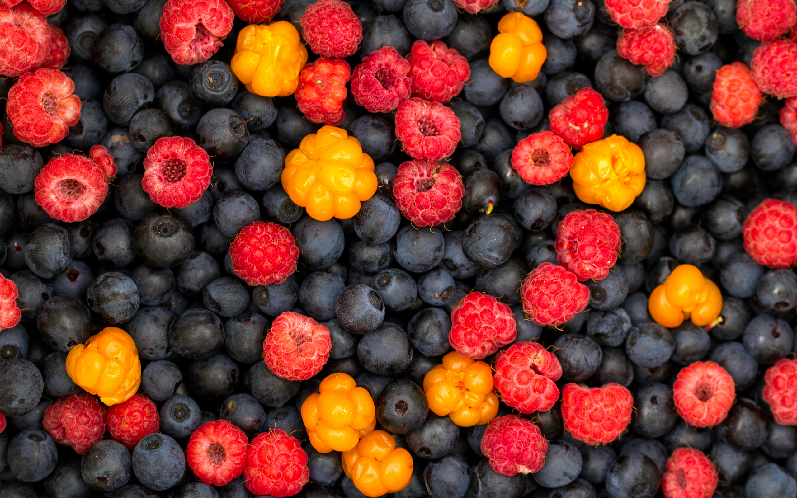 Okay, let's break down this image through several theoretical lenses. **Visual Description** The image is a high-angle, close-up shot of a densely packed mixture of blueberries, raspberries, and golden raspberries. Th...
