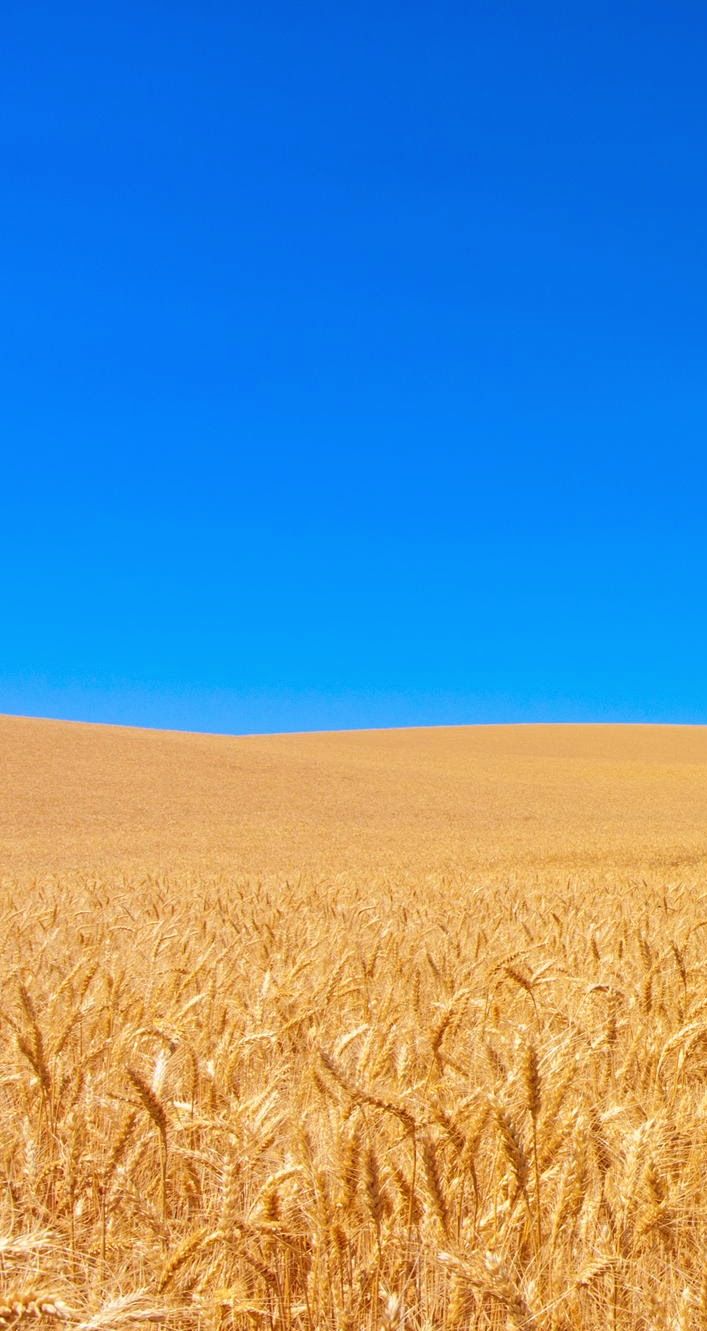 Okay, here’s an analysis of the image, broken down into sections, addressing the suggested theoretical frameworks where applicable. Please note that not every framework will be equally relevant or prominent. ## Visual...