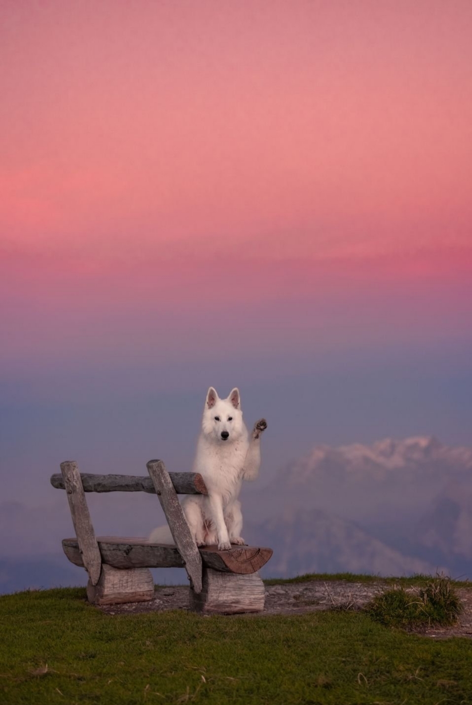 Okay, here's an analysis of the image, broken down into sections as requested. I'll indicate where a section doesn't apply or isn't particularly strong given the image. ## Visual Description The image presents a strik...