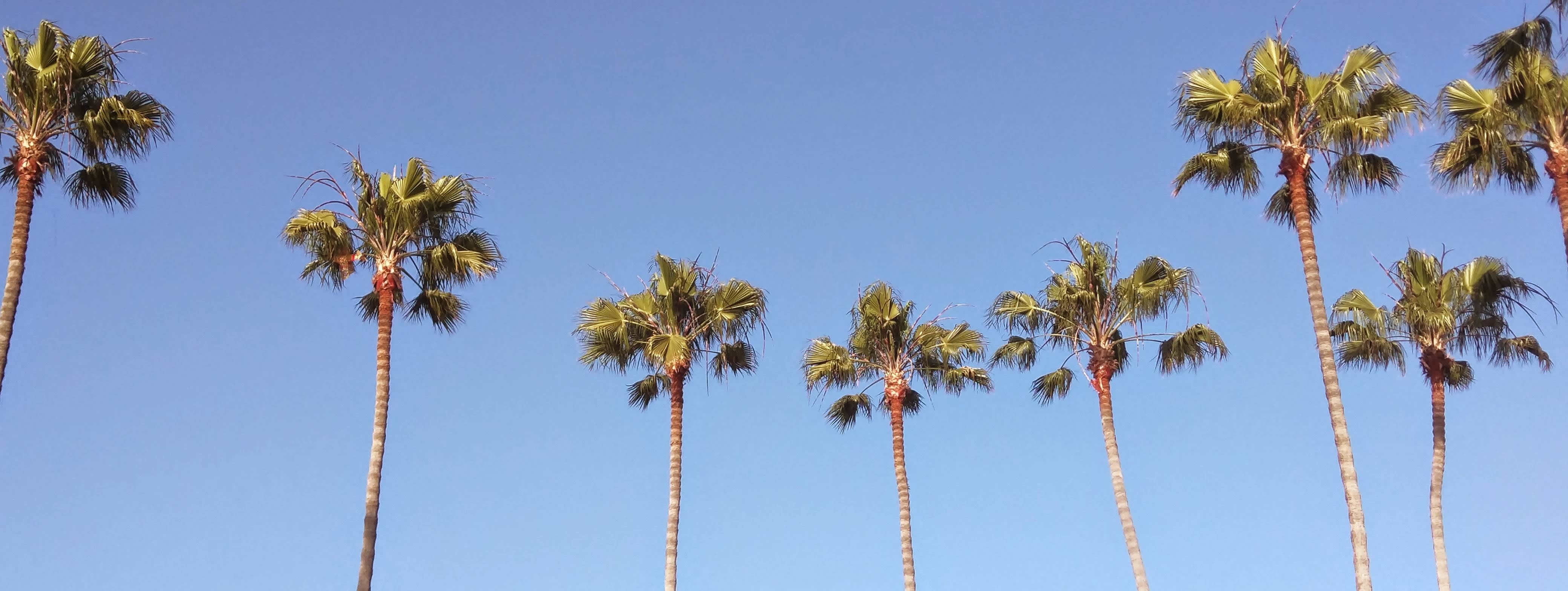 Okay, here's an analysis of the image, broken down into sections as requested. Note that certain theoretical frameworks won't be entirely applicable or would require significant stretching to apply to a simple image o...