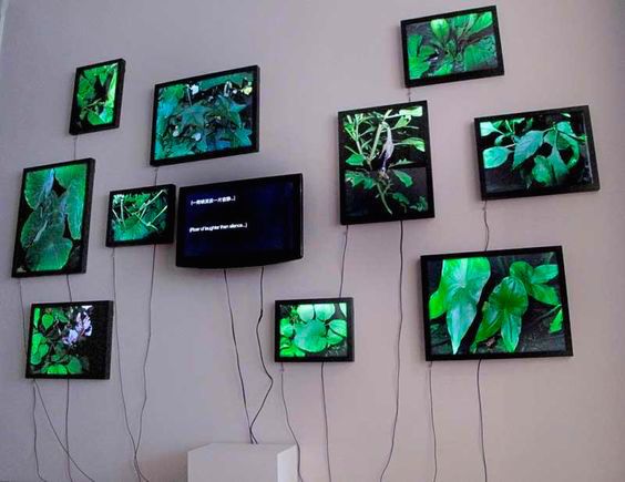 Okay, let's analyze this installation artwork based on the requested theoretical frameworks. **Visual Description** The image displays an installation consisting of multiple (approximately 12) flat-screen monitors mou...
