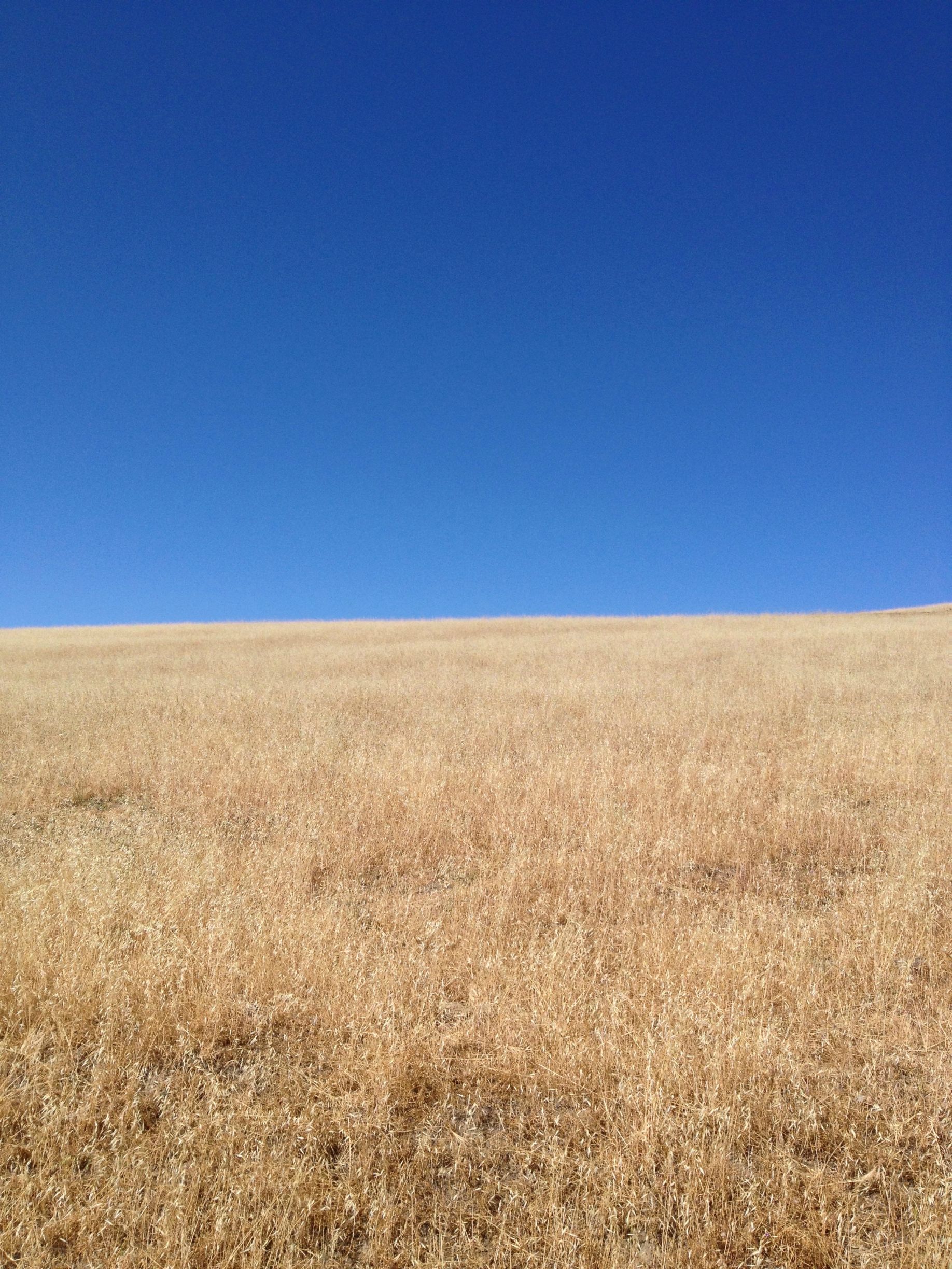 Okay, here's an analysis of the image, broken down into sections as requested, concentrating on relevant theoretical frameworks. Some sections will be more extensive than others based on what the image lends itself to...