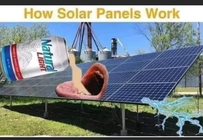 Okay, let's break down this... unique image through the lenses you've provided. It's going to be a bit of a ride! **Visual Description** The image depicts a satirical illustration explaining "How Solar Panels Work." I...