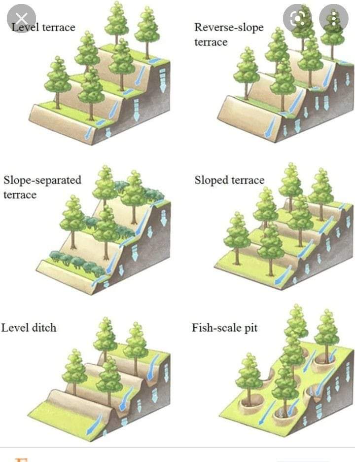 This meme is a humorous example of a permaculture design that incorporates multiple types of water management systems, including a level, slope, and ditch, to create a self-sustaining and efficient water management sy...