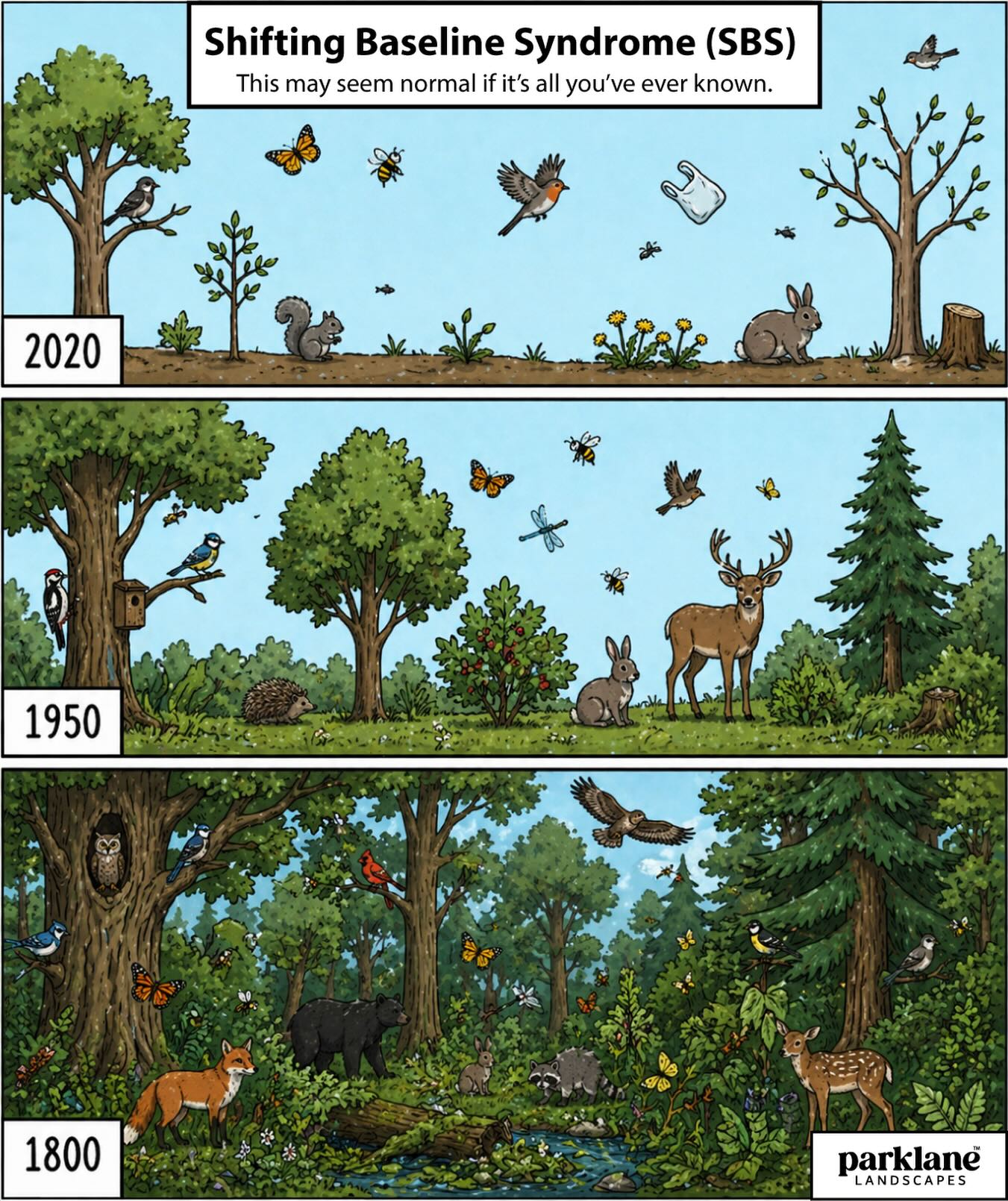 This meme uses the concept of "Shifting Baseline Syndrome" to critique how human activity is currently destroying ecosystems so rapidly that we will never know what nature used to look like anymore. From a reforestati...