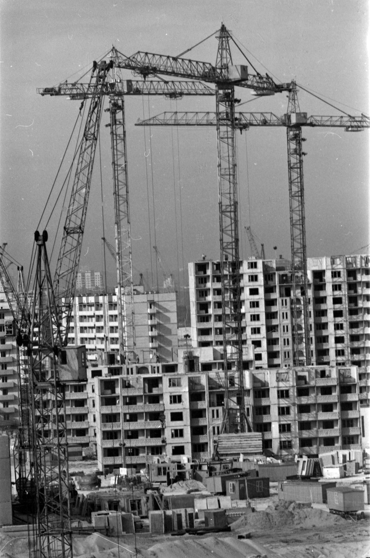 The meme is an image of a building site with a large, empty space where a building's foundation is being laid. The text in the image reads "Permaculture - Shelter" and the image is captioned "When you finally find a p...