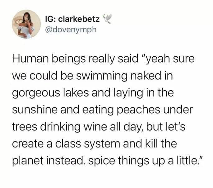 Okay, let's break down this social media post ("Human beings really said 'yeah sure we could be swimming naked and laying in the sunshine and eating peaches under trees drinking wine all day, but let's create a class...