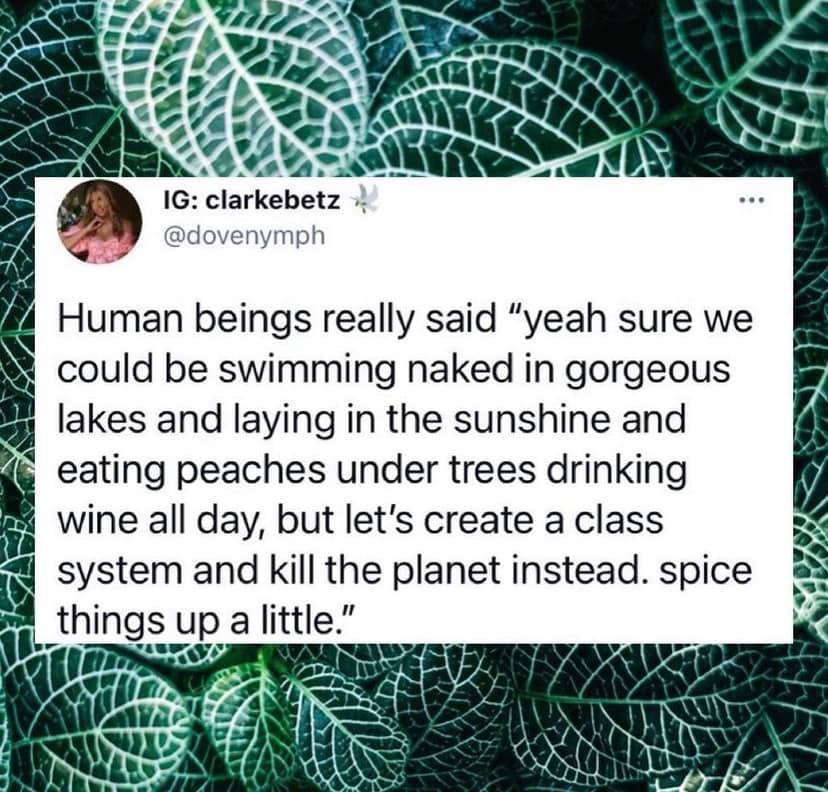 Okay, here's a breakdown of the image and text, analyzed through several of the lenses you requested. I'll include headings only for sections where the analysis is truly relevant. I’ll omit any section that doesn't fe...