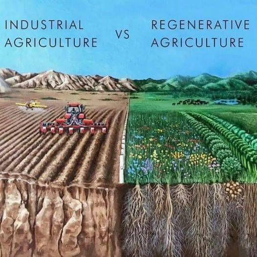 Okay, let's break down this image using the frameworks you've requested. It's a powerful visual, lending itself to a number of analytical approaches. **Visual Description** The image presents a stark comparison betwee...