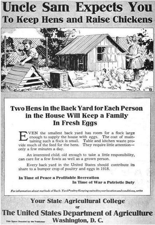 Okay, let's break down this WWI-era poster, “Uncle Sam Expects You To Keep Hens and Raise Chickens,” through the lenses you've requested. I'll cover what's relevant and explain why certain approaches may *not* be as s...