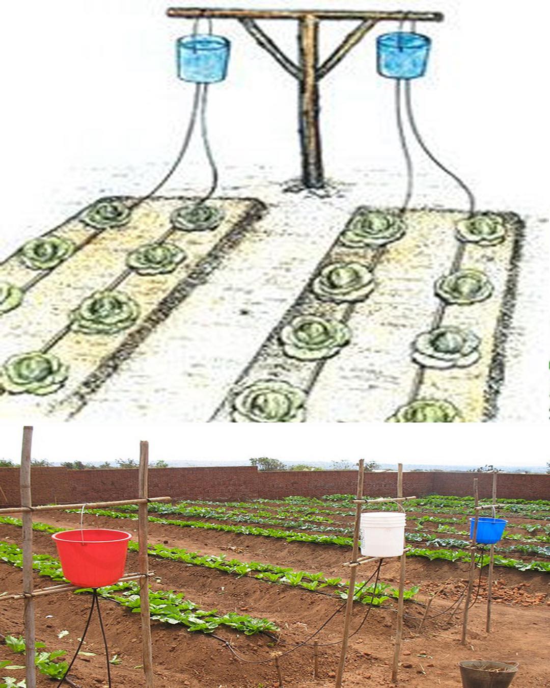 Here’s an analysis of the image broken down into the requested sections. I’ll flag where a section *doesn't* directly apply or is limited in application. **Visual Description** The image presents a diptych: a stylized...