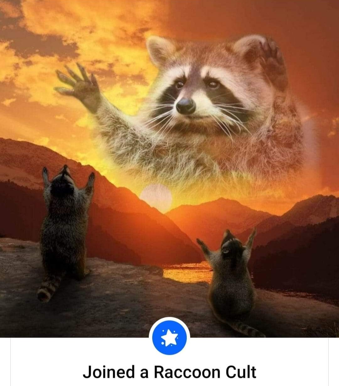The meme features a picture of a raccoon, a common animal in permaculture, with a caption "Raccoon" with a red circle and line through it. The image is a play on the popular "X" symbol used to mark something as "not"...