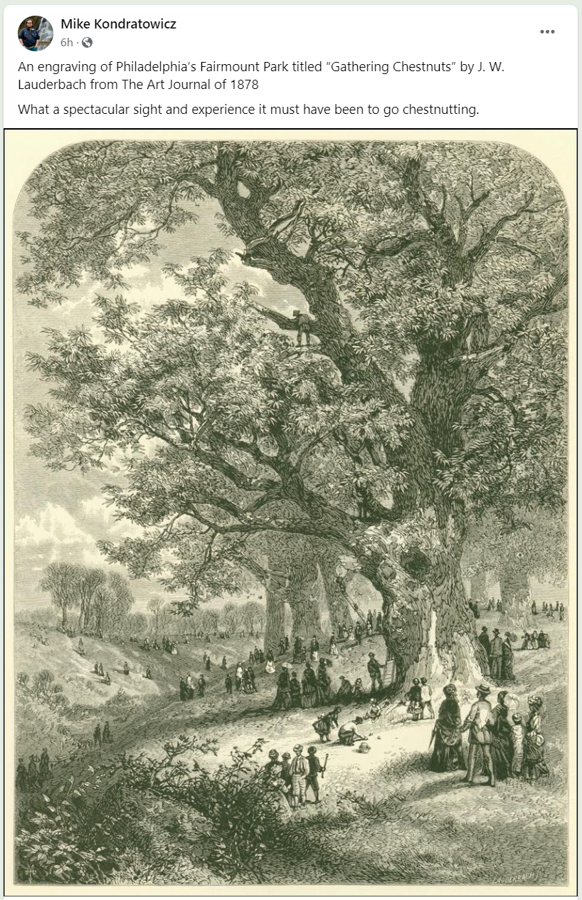 Okay, let's analyze the 1878 engraving "Gathering Chestnuts" by J.W. Lauderbach through the lenses requested, keeping in mind that not *every* framework will seamlessly fit. I'll provide sections where they are releva...