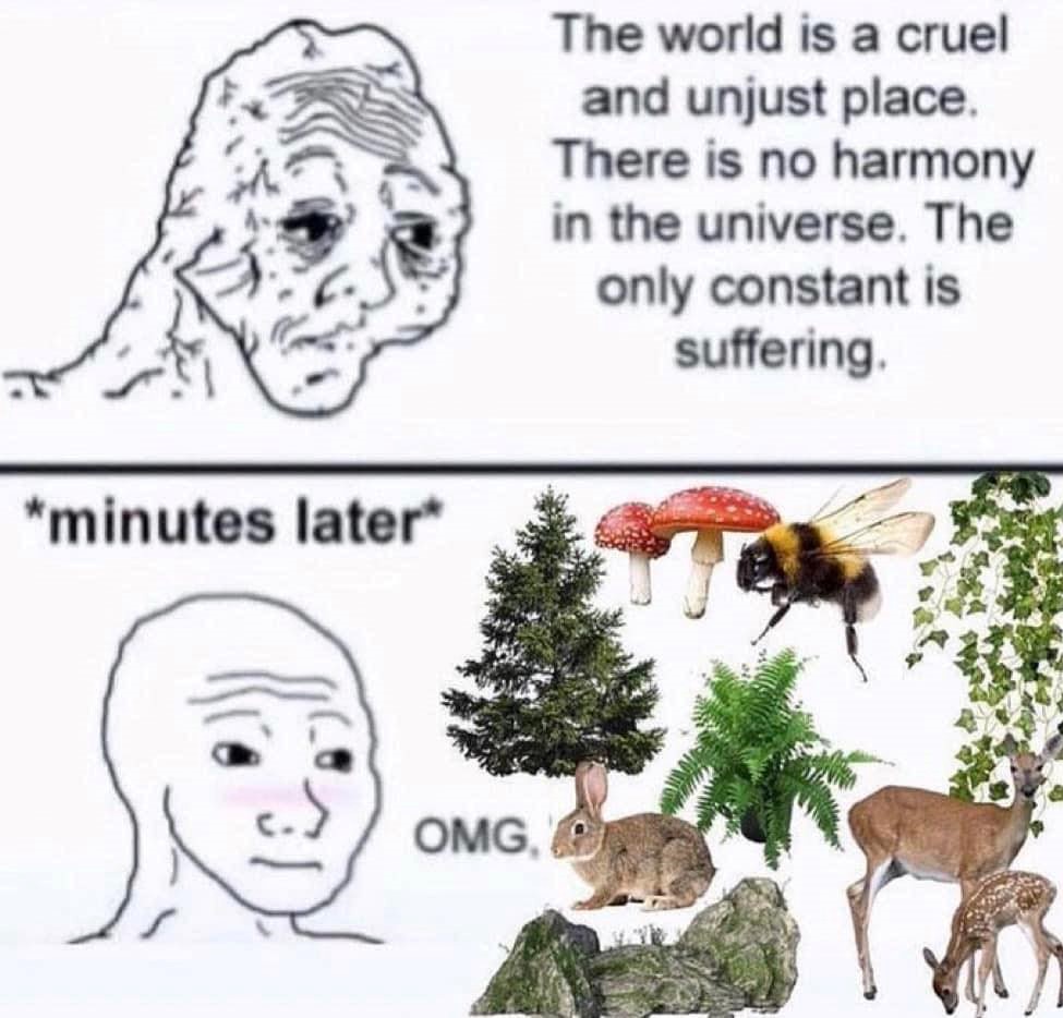 Okay, here's an analysis of the image/meme, broken down into the requested theoretical frameworks, with sections only where they are relevant. ## Visual Description The image is a two-panel meme, utilizing a simplisti...