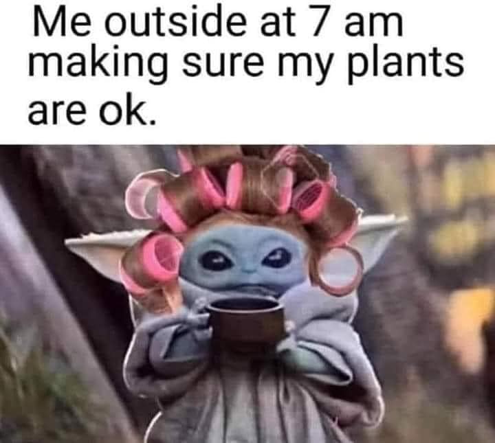 Okay, here's an analysis of the image/meme, broken down into the requested theoretical lenses. I'll skip sections that don't really apply strongly. **Visual Description** The image features "Baby Yoda" (Grogu) from *T...