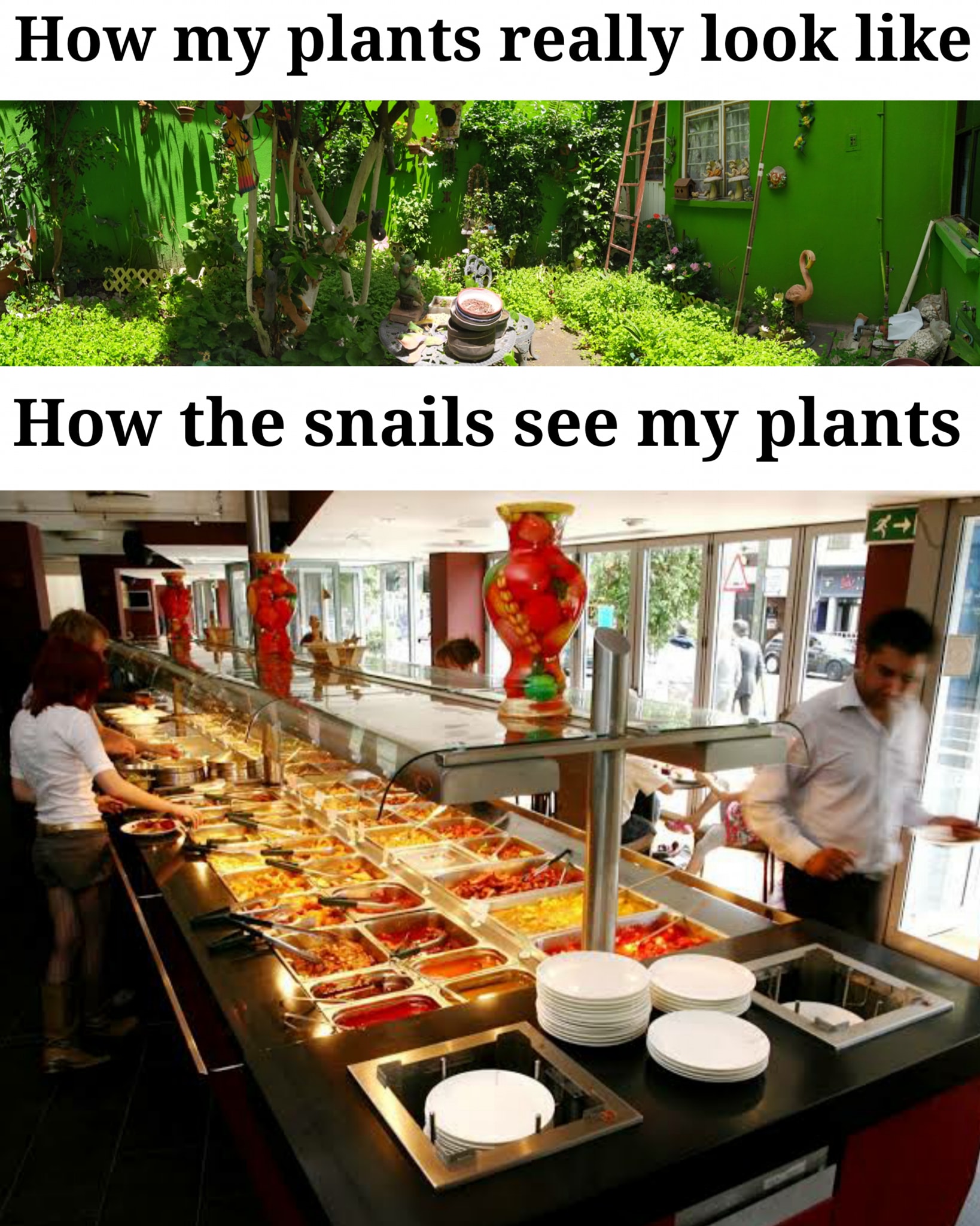 Okay, here's an analysis of the meme, broken down into sections based on the theoretical frameworks you requested. Not all will apply, as some are more relevant than others for this particular image and its implied co...