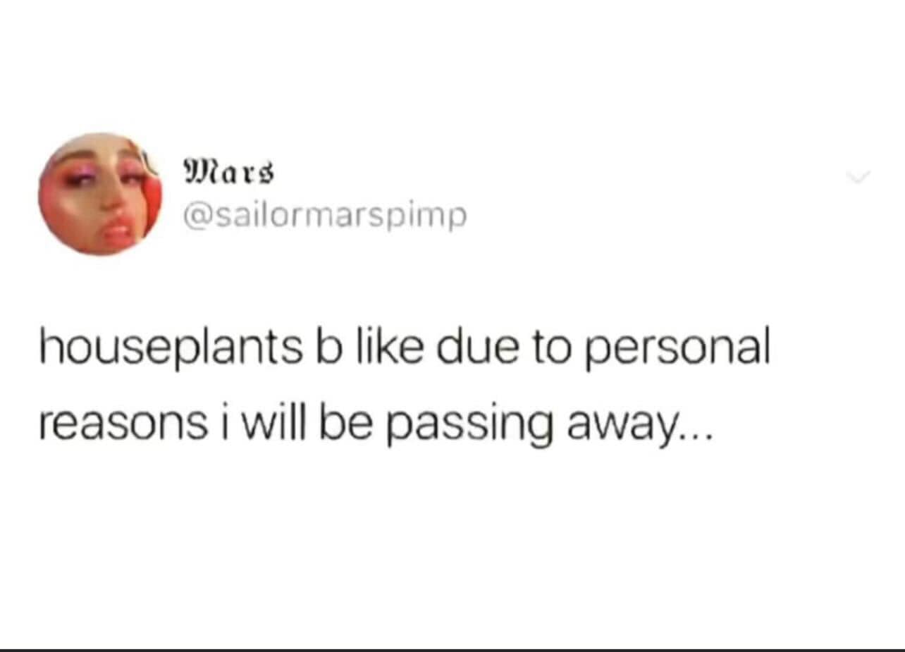 Okay, let's break down this seemingly simple social media post through the lenses of various critical theories. **Visual Description** The image shows a screenshot of a Twitter post from the account "@sailormarspimp"...