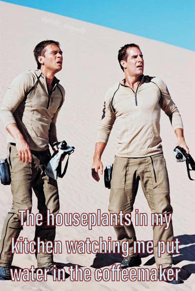 Okay, let's break down this meme featuring a still from *Uncharted* with the text "The houseplants in my kitchen watching me put water in the coffeemaker" through the lenses you've requested. I will only include secti...