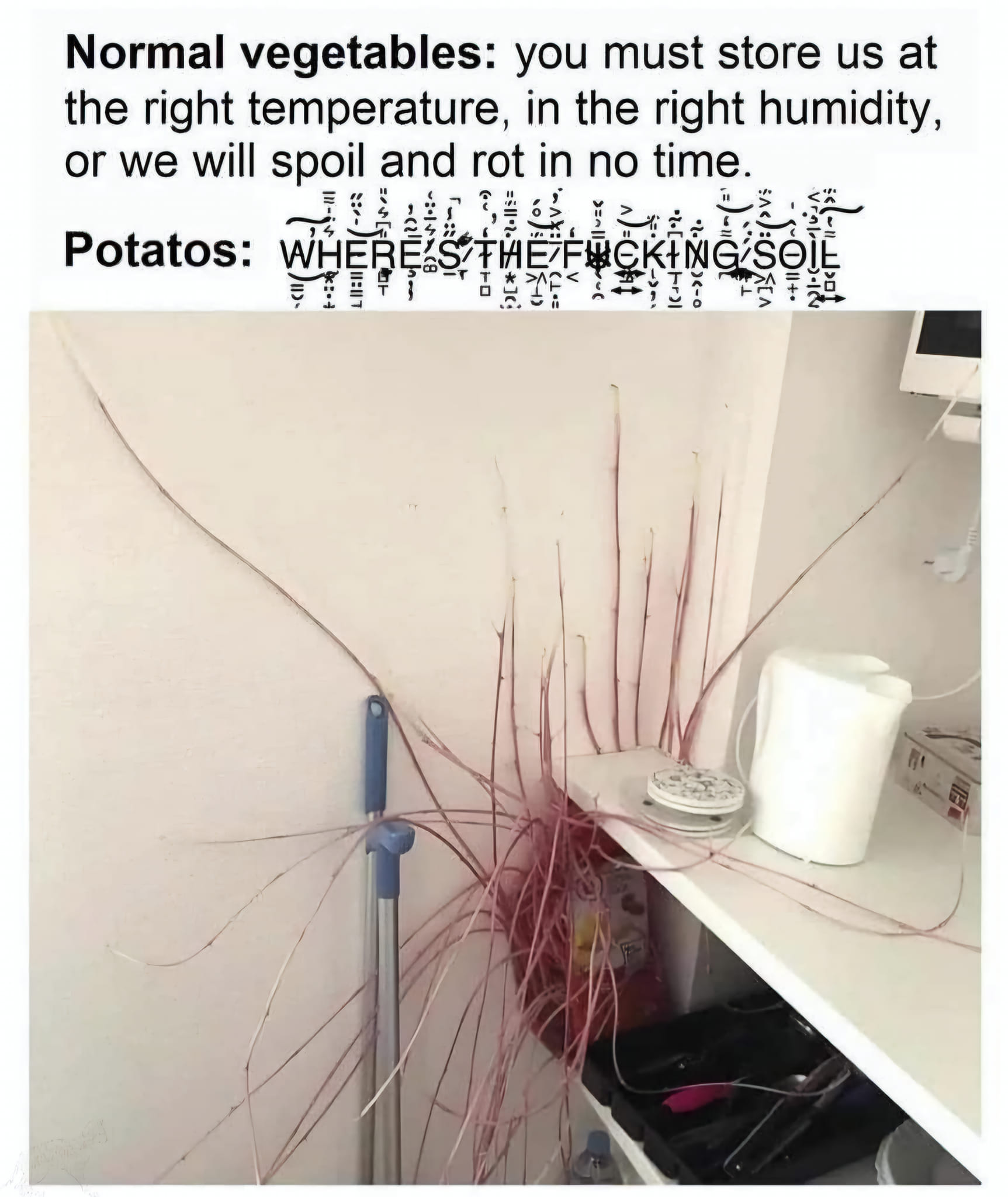 Okay, here’s a breakdown of the image and its potential interpretations, analyzed through the requested lenses. Given the rather chaotic and absurd nature of the image and text, some of these analyses will lean toward...