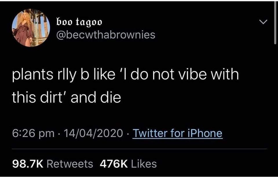 Okay, let's break down this seemingly simple Twitter post using various theoretical lenses. **Visual Description** The image is a screenshot of a tweet. The background is a solid black. The tweet is from an account na...