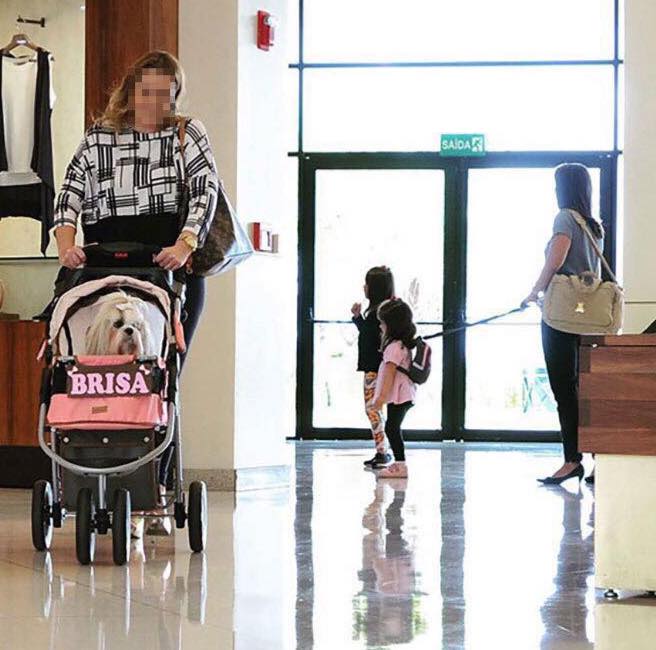 Okay, here’s a multi-layered analysis of the image, breaking it down into the requested theoretical frameworks where applicable. Note that some frameworks are more relevant than others to the visual content. I’ll indi...