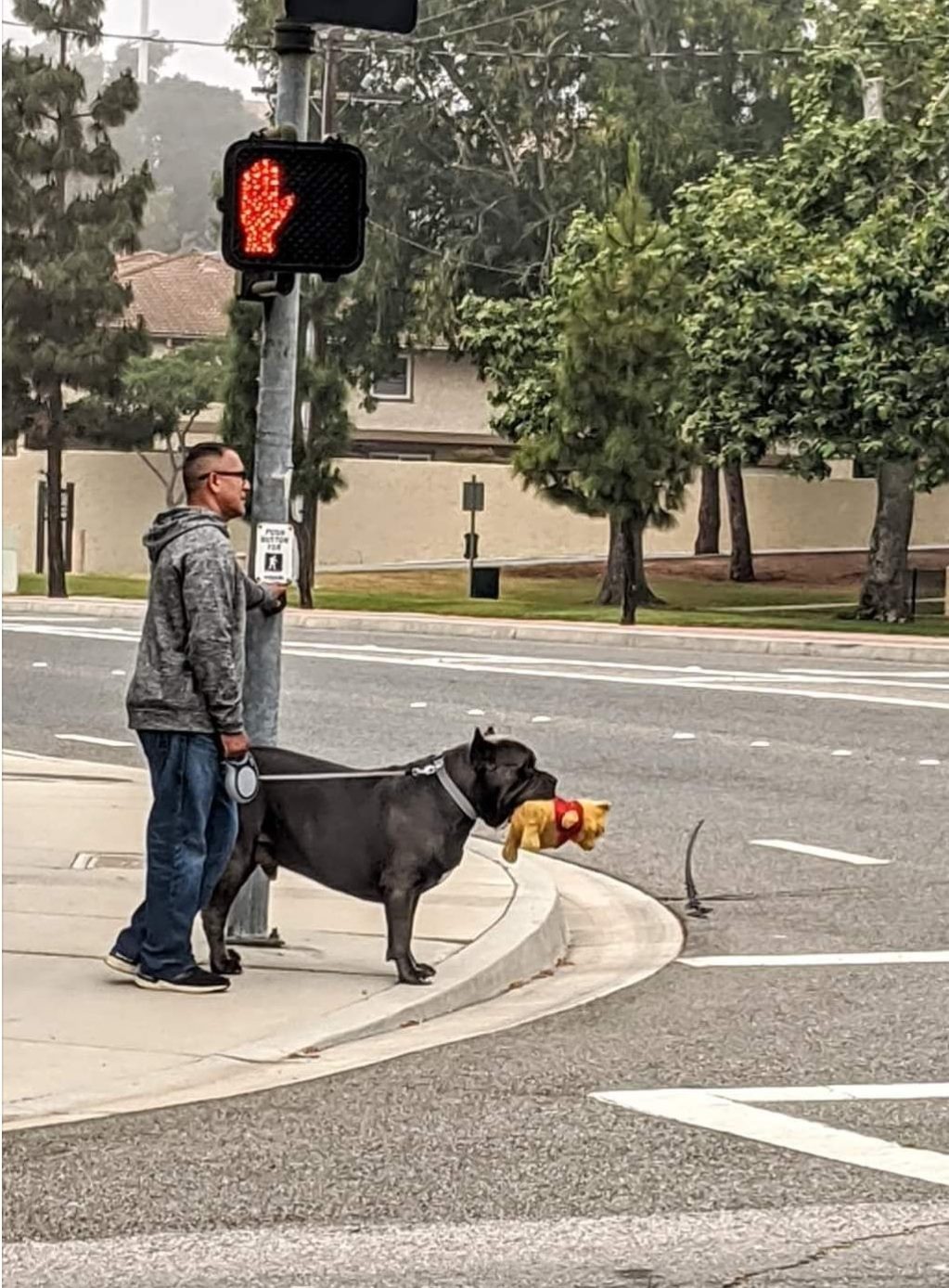 Okay, here's an analysis of the image, broken down into sections based on the theoretical frameworks you requested. I will only include sections where the frameworks demonstrably apply. **1. Visual Description** The i...