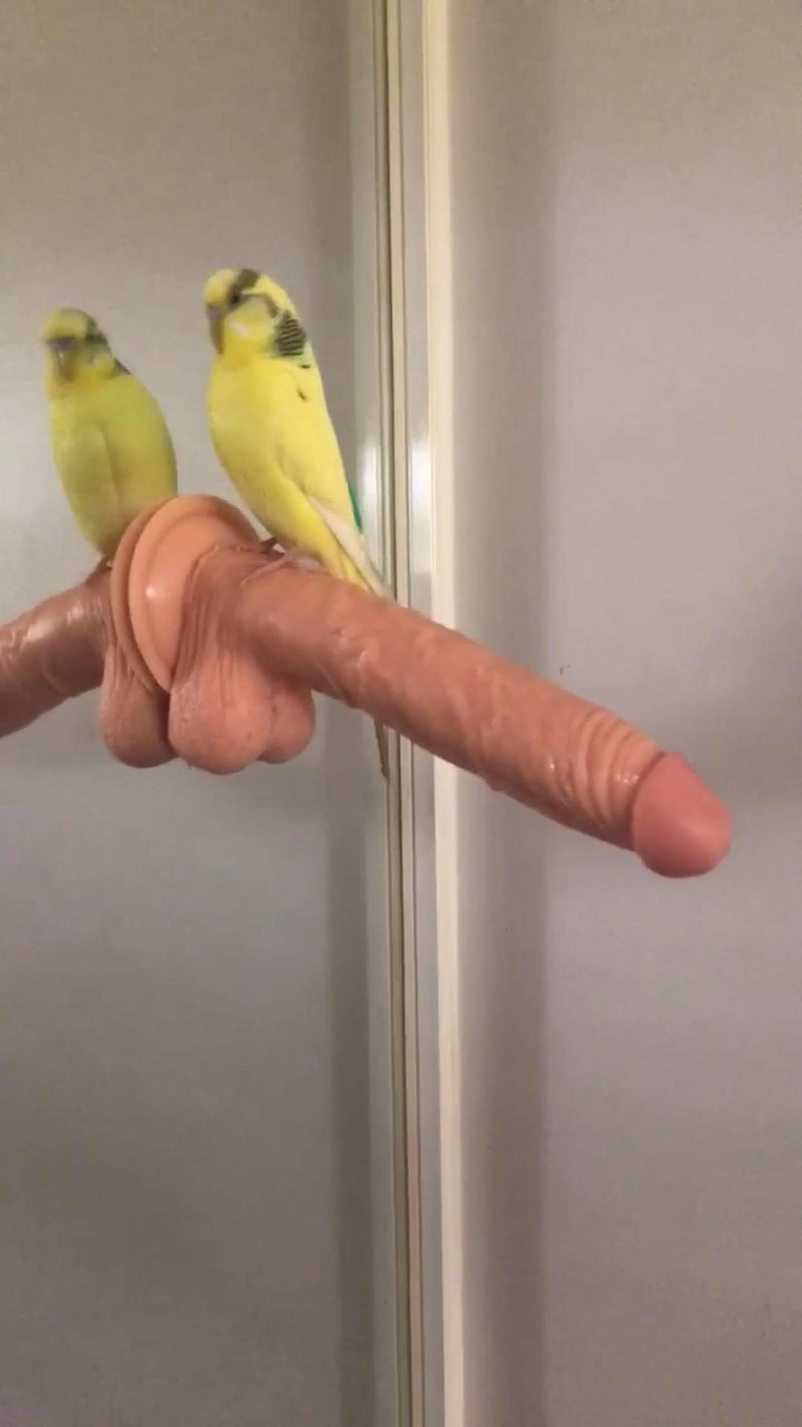 Okay, here's an analysis of the image, structured as you requested, addressing each theoretical lens where relevant. **Please be warned that due to the potentially disturbing nature of the image, this analysis will ne...