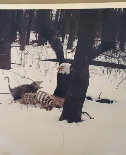 Okay, here's an analysis of the image provided, broken down into the requested theoretical lenses. I will omit sections that are demonstrably irrelevant to the image. This will be fairly detailed, as you requested mul...