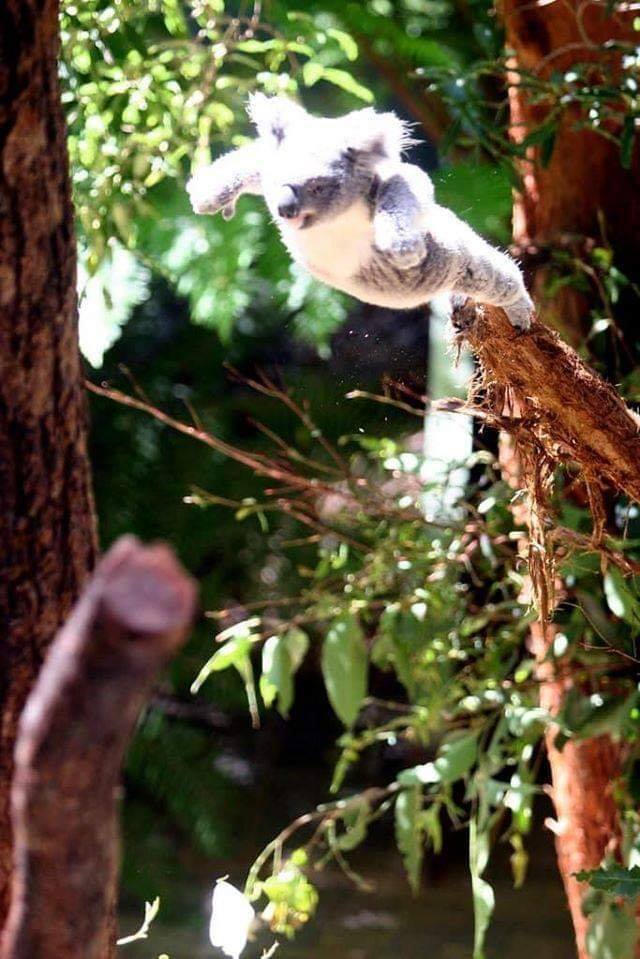 Okay, here's an analysis of the provided image, broken down into the requested theoretical sections. Note that some sections will be more applicable than others, given the subject matter. **Visual Description** The im...