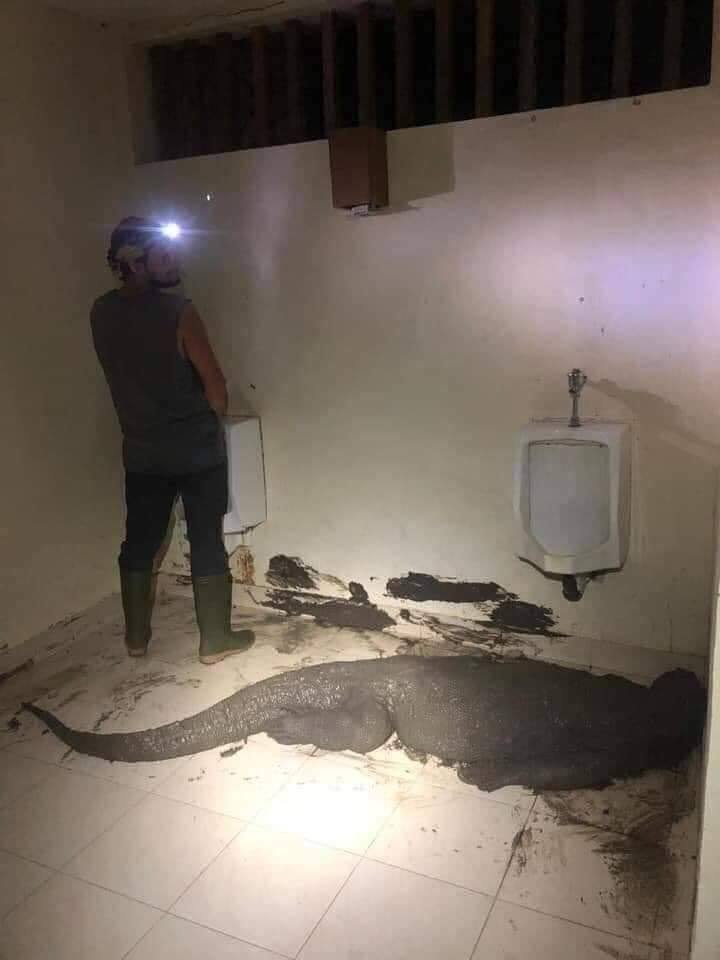 Okay, let's break down this striking (and unsettling) image through the lenses you've requested. It's a rich image with potential for several interpretations. **1. Visual Description** The photograph depicts the inter...