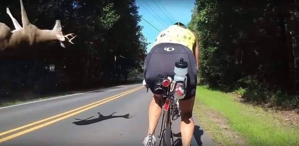 Okay, let's break down this image through several critical lenses. It's a fascinating scene that lends itself to a range of interpretations. **1. Visual Description** The image is a first-person perspective shot, like...