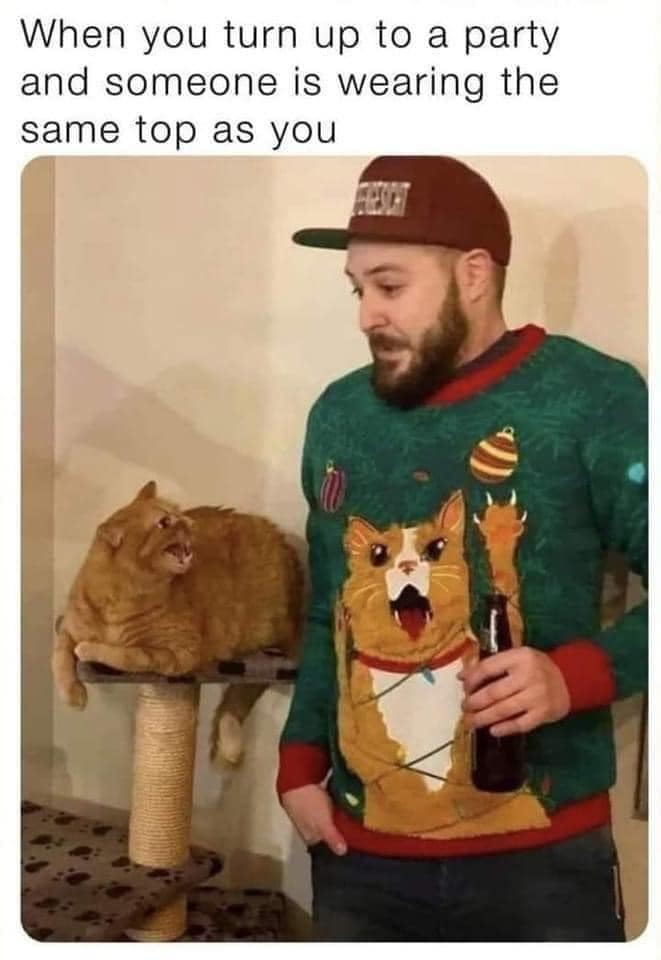 Okay, let's break down this meme through various theoretical lenses. It's a surprisingly rich image for its comedic simplicity! **Visual Description** The image presents a man wearing a dark green sweater with a patte...