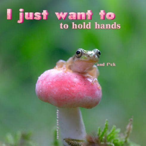 Okay, let's break down this image using the requested theoretical lenses. It's a quirky one, so some lenses will be more fruitful than others! **Visual Description** The image features a tiny green tree frog perched a...