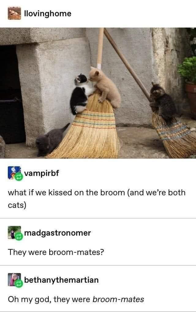 Here's an analysis of the image and accompanying text, organized into relevant sections. Given the nature of the content, some sections will be more robust than others. **Visual Description** The image shows a domesti...